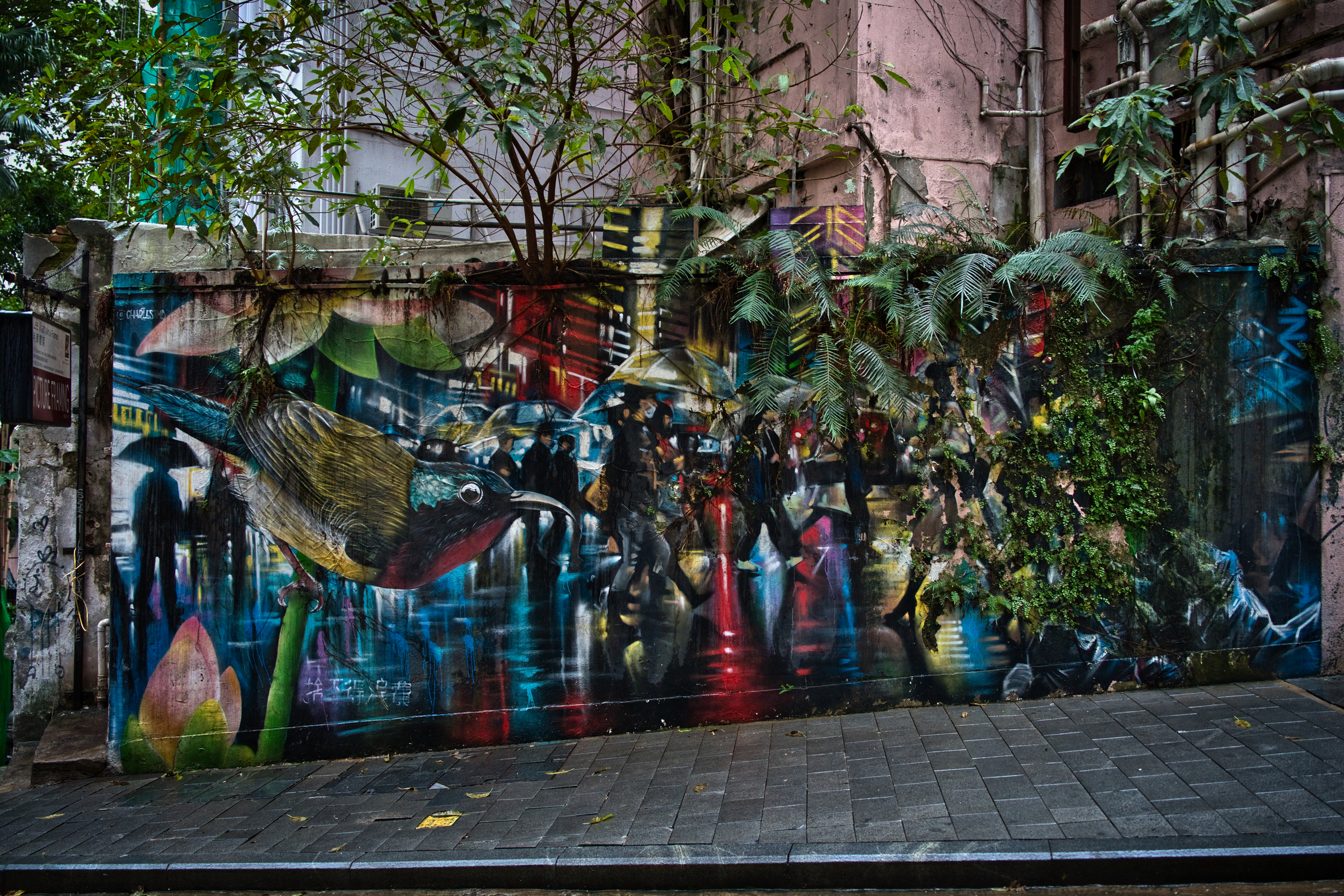 Street Art de la Révolution des parapluies
